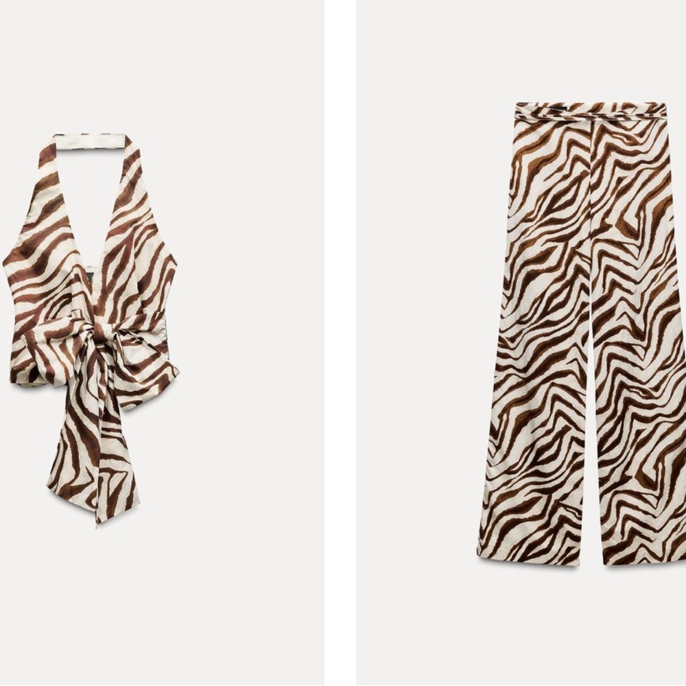 Zara Zebra Print Matching Set